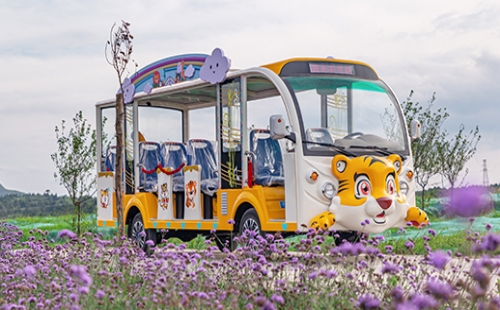 旅游景區(qū)為什么要用燃油觀光車？